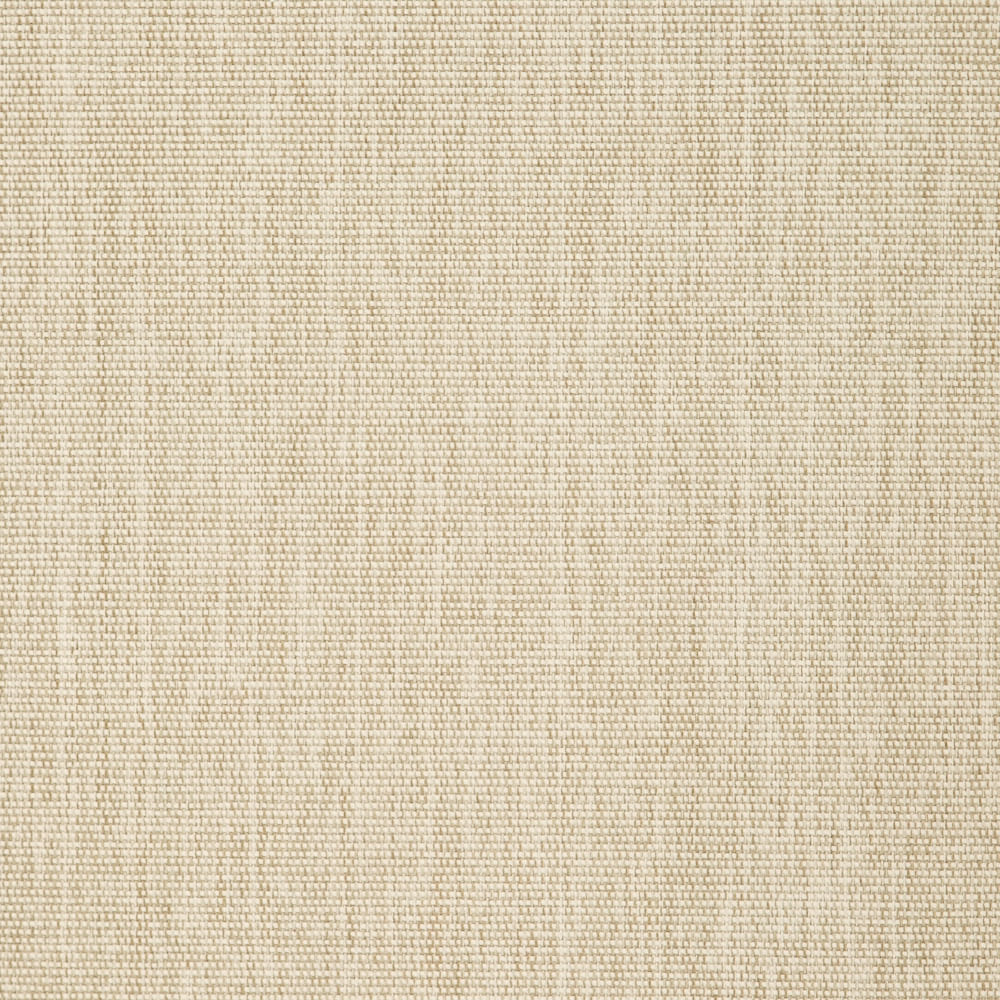 what color is sandshell